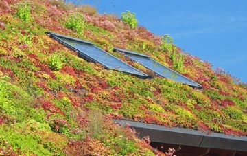 Friarn living roof systems