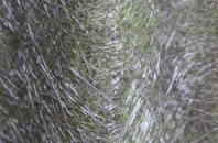 Friarn fibreglass roof work